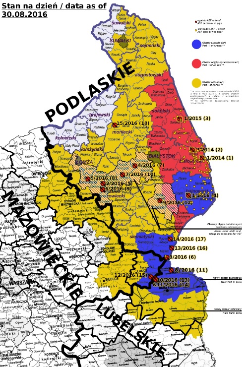asf w polsce mapa